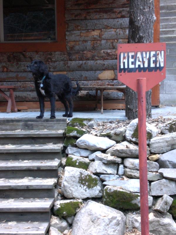 /Images/uploads/Humane Society of Utah/HSUCalendar/entries/961thumb.jpg